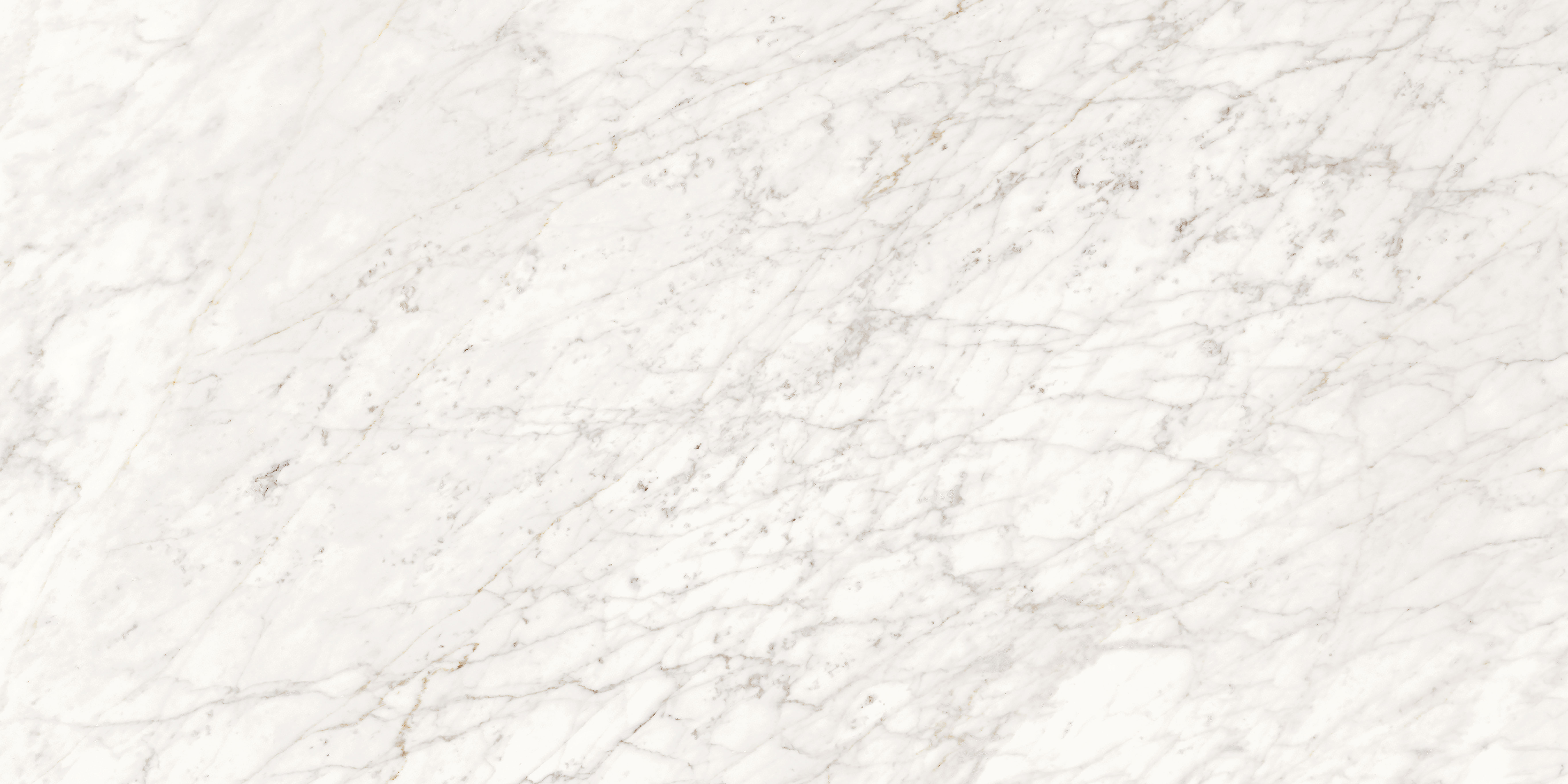 Valentino Majestic Apuanian White 60x119,5 cm