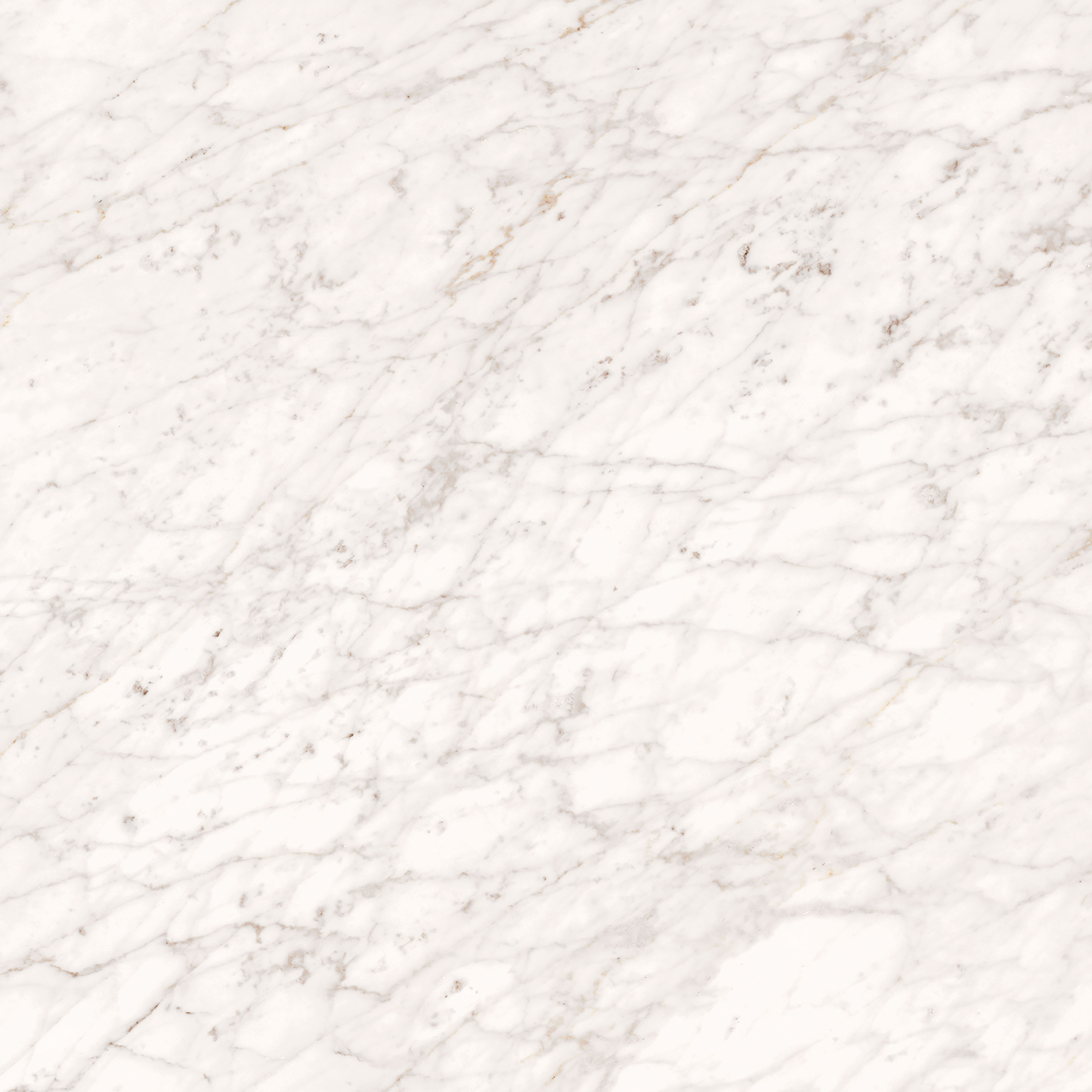 Valentino Majestic Apuanian White matt 60x60 cm